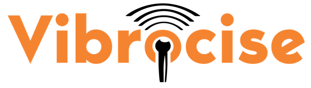 Vibrocise - Word Logo1